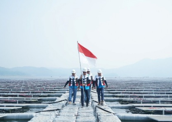 Dukung Pembangunan Berkelanjutan, Green Financing BRI Terus Tumbuh Capai Rp89,9 Triliun