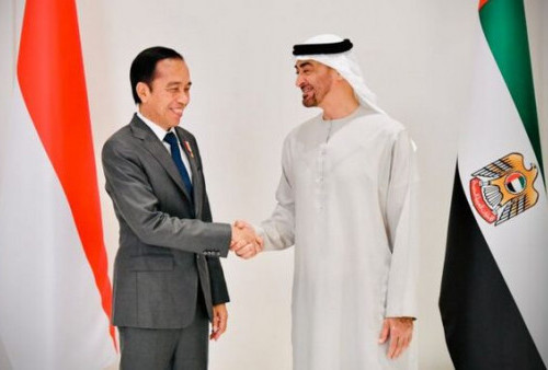 Presiden Jokowi - Presiden MBZ  Bertemu di Istana Al Shatie