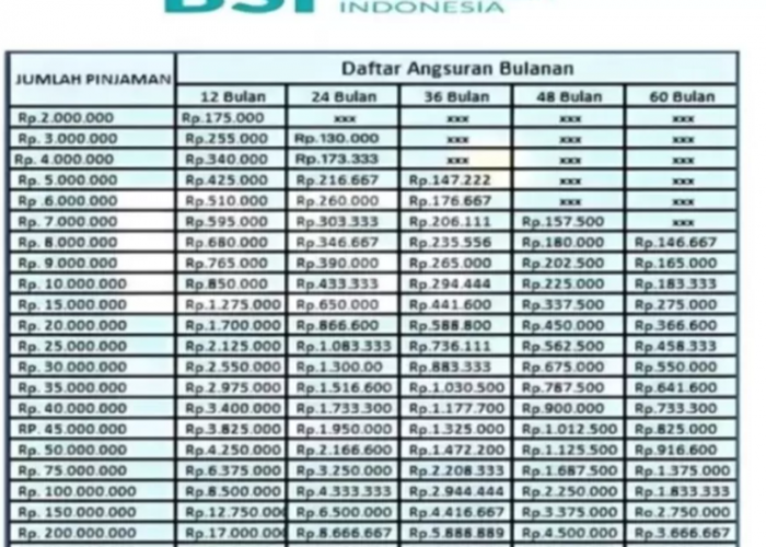 Pinjaman Modal Usaha Halal dan Berkah? KUR Syariah BSI Jawabannya, Simak Syarat dan Cara Daftar!