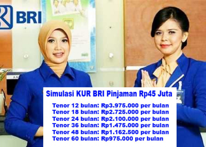 Bunga Hanya 3 P untuk Pinjaman Rp45 Juta di KUR BRI 2025 Cepat Cair, Simak Cara Pengajuan dan Cicilan Terendah