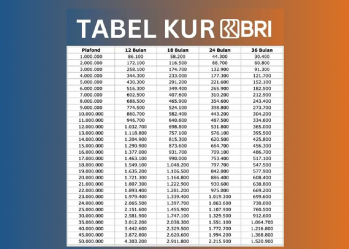 Lengkap! Plafon, Cicilan, dan Cara Pengajuan KUR BRI 2025 untuk Usaha Mikro