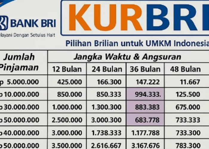 Tambahan Modal UMKM Lewat KUR BRI 50 Juta, Simak Tabel Angsuran KUR BRI 50 Juta Cicilan Ringan Tenor Panjang