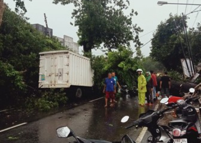 Sebuah Mobil Boks Tertimpa Pohon Mahoni di Desa Panyingkiran, Mengakibatkan Sopirnya Tewas 