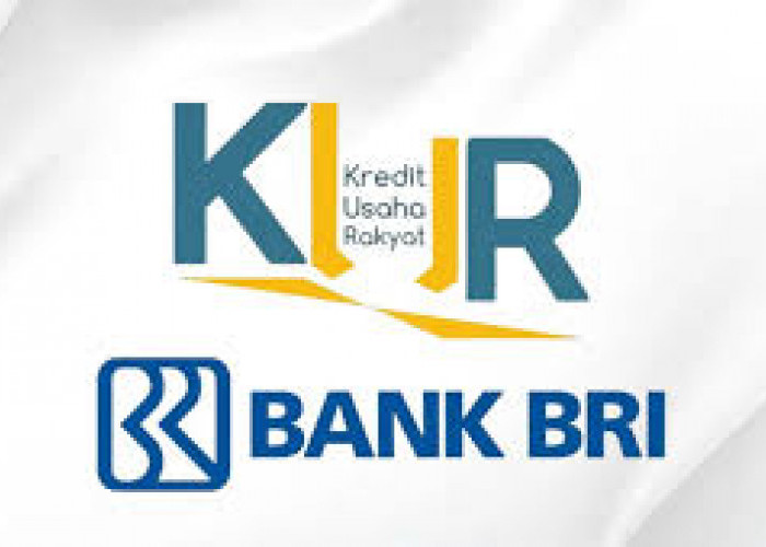 Super Murah! Cuma Bayar Rp 21.667/Bulan Bisa Dapat Modal Rp 1 Juta di KUR BRI 2025!