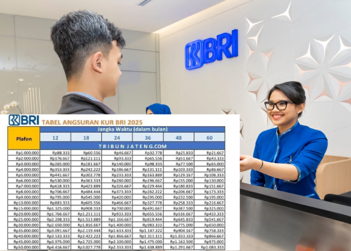 Cara Mudah Dapat Pinjaman Rp 5 Juta dari KUR BRI 2025 Tanpa Jaminan, Cicilan Murah Meriah! Begini Caranya
