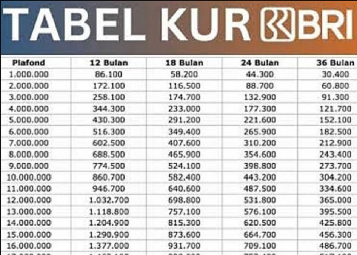 Skema Tabel KUR BRI 2025 Pinjaman 200 Juta Tenor 5 Tahun, Cair ke Rekening Buat Modal Usaha Anda