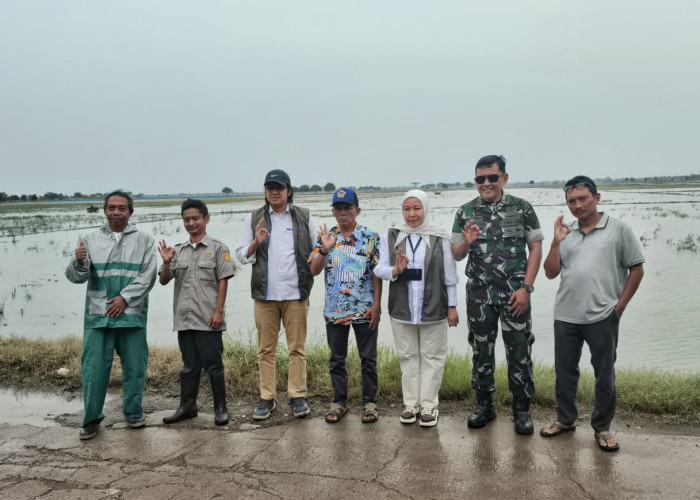 Bulog Cabang Indramayu Siap Serap GKP Rp 6.500/Kg