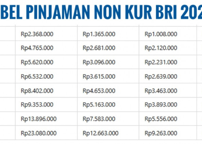 Tabel Pinjaman BRI Non KUR 2025, Dapatkan Unit Angsuran 250 Juta Tenor 60 Bulan, Plus Cicilan 146 Ribuan