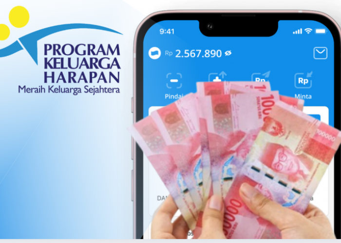 Selamat! Rp600 Ribu Masuk ke E-Wallet Anda, NIK KTP Penerima Saldo DANA dari Pemerintah, BNPT Tahap 1 Cair