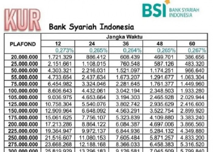 Angsuran Pinjaman Non KUR BSI Plafon 500 Juta, Dapatkan Pinjaman Syariah Tanpa Khawatir Riba 