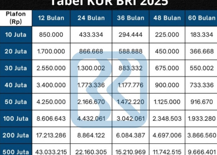 Cicilan Pinjaman KUR BRI Bunga Hanya 3 Persen! Dapatkan Skema Tabel Rincian Hingga 100 Juta Beserta Tenor