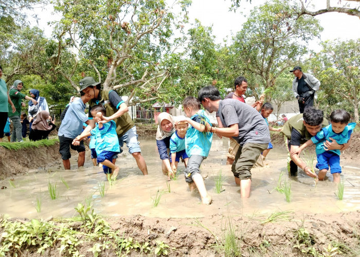 Puluhan Siswa RA Sekolah Alam Indramayu Tanam Padi di Balai Benih Hortikuktura Jatibarang