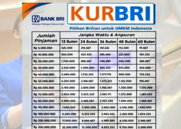 Begini Cara Daftar KUR BRI 2025, Bisa Lewat Offline atau Online, Pinjaman Cair Hingga Angsuran 200 Juta