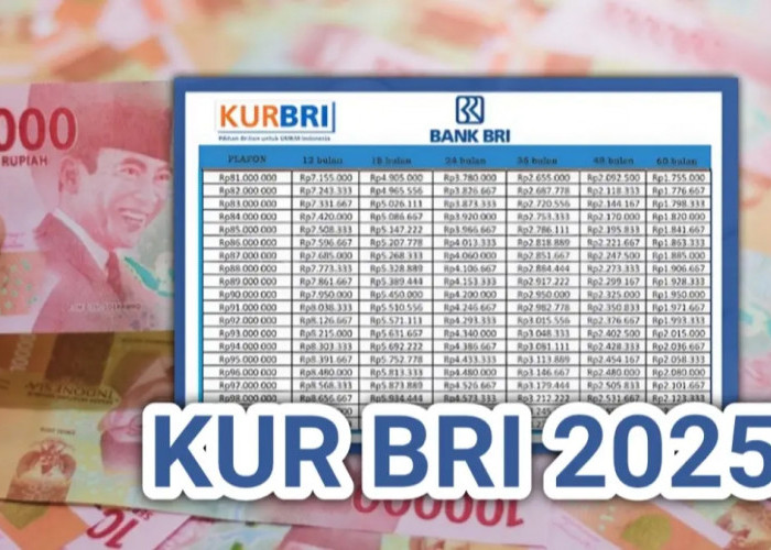 Mulai dari Rp1 Juta, Ini Simulasi dan Cara Ajukan Pinjaman KUR BRI 2025 Hingga Rp100 Juta!