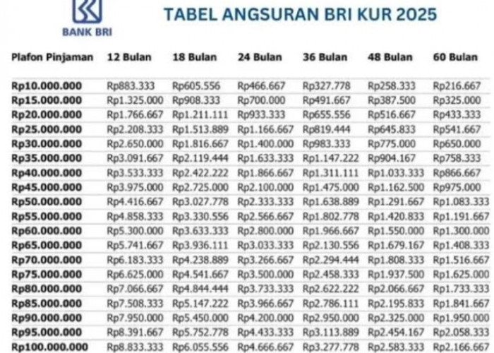 Tenor Maksimal KUR BRI 2025 Plafon Rp50 Juta Angsuran Mulai Rp 21.667 Ribuan, Cek Skemanya 