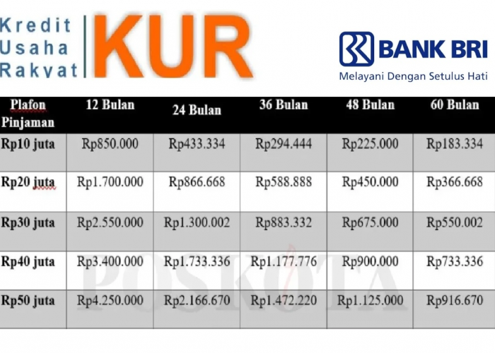 Bunga Cuma 3 Persen, Berikut Tabel Angsuran KUR BRI Rp50 Juta Lengkap dengan Cicilan Terendah dan Jenisnya