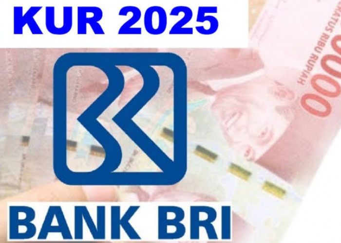 RINGAN BANGET! Ini Dia Rincian KUR BRI 2025 Pinjaman 1 Juta Sampai 5 Juta, Cicilan Mulai dari 21 Ribuan Saja!