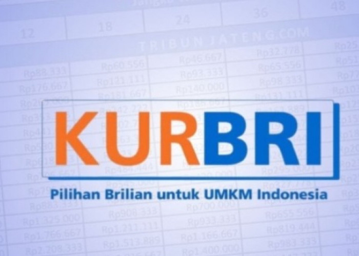 Mudah dan Terjangkau! Begini Cara Dapat Rp250 Juta Lewat KUR BRI 2025, Simak Caranya Berikut Ini! 