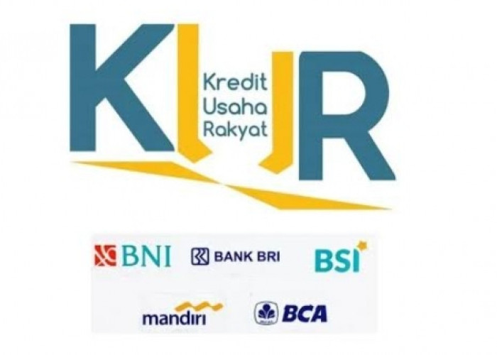 Masih Punya Hutang Pinjol, Apakah Bisa Pinjam KUR 500 Juta? Kementerian Keuangan DJPb Ucap Seperti ini.....