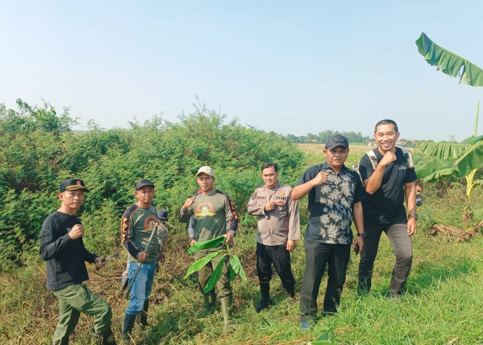 Antisipasi El Nino, Saluran Sungai Penarikan Dibersihkan demi Kebutuhan Air Petani