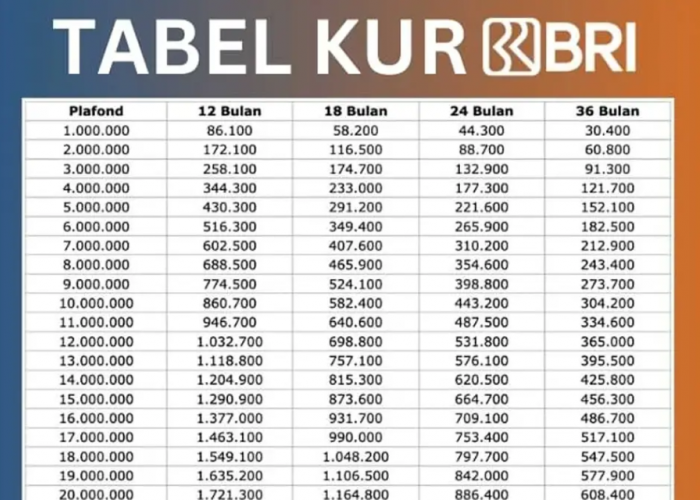 Dapat Modal Usaha Tanpa Beban! KUR BRI 2025 Tawarkan Angsuran Enteng Banget!