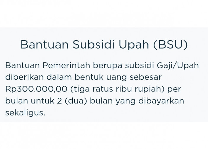 Cuma Modal HP, Anda Bisa Cek Nama Sendiri Atas Kelayakan Penerima BSU BPJS 2025, Begini Caranya