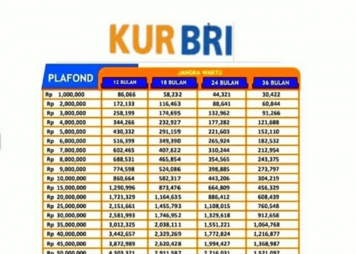 Tabel Angsuran KUR BRI Terbaru, Tersedia KUR untuk UMKM Tahun 2025 Dengan Persyaratan Mudah