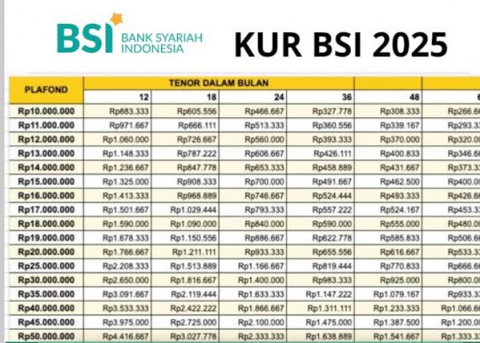 KUR BSI 2025 Pinjaman 100 Juta Angsuran Berapa? Simak Rinciannya yang Bikin Kaget Berikut Ini!