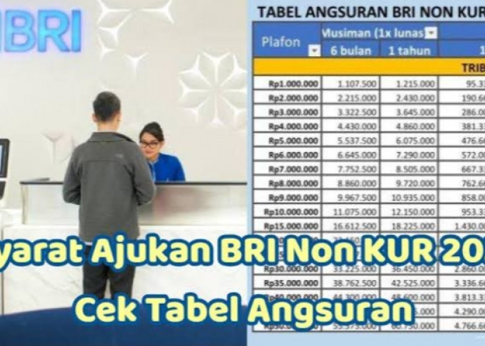 Angsuran Mulai Rp100 Ribu! Skema Tabel Cicilan Terbaru Non KUR BRI Plafon 250 Juta, Kuota Debitur Terbatas