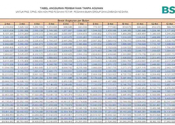 Limit Hingga Rp 350 Juta, Ini Kredit BSI yang Bikin Pensiunan Makin Berkah!