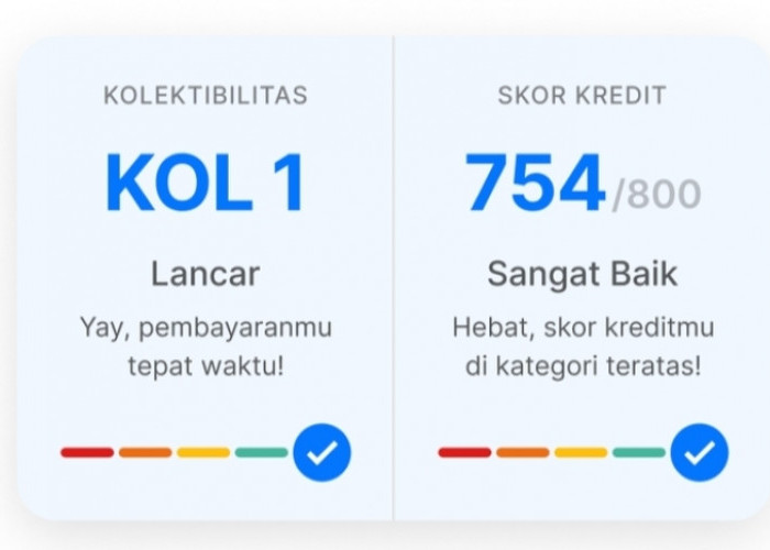 Skor Kol 1 Jadi Syarat Lolos Pinjaman Bank Dari BI Checking! Kol 2 dan Seterusnya Apakah ACC? Cek Berikut ini