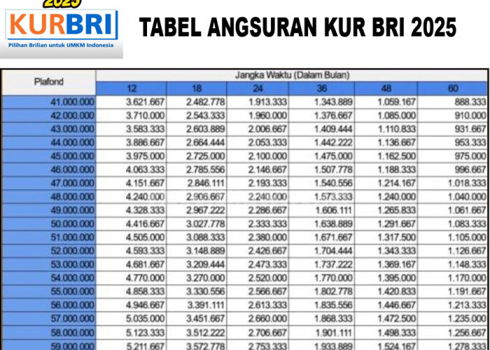 Opsi Solusi Modal! KUR BRI 2025 Ini Tawarkan Pinjaman Hingga Rp100 Juta Tanpa Agunan, Angsuran Per 6 Bulan