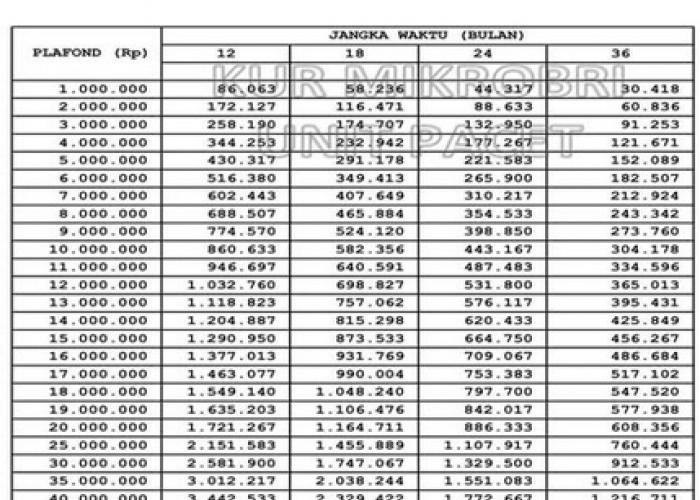 PALING DIBURU! KUR BRI 2025 Pinjaman Rp 10 Juta, Angsuran di Bawah Rp 250 Ribu, Kuota Terbatas!