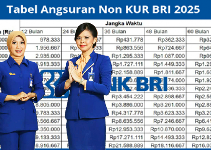 Lagi Cari Modal Akhir Bulan? Ajukan Saja ke Non KUR BRI 2025 Bisa Cair Hingga Rp50 Juta! Begini Simulasinya..