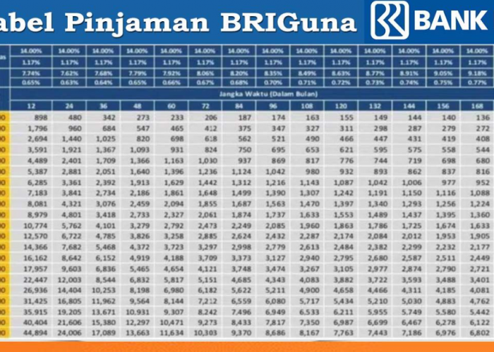Butuh Pinjaman Sampai Dengan Rp500 Juta Untuk Masa Pensiun? Cek Syarat BRIGuna Purna Yang Harus Kamu Tahu!