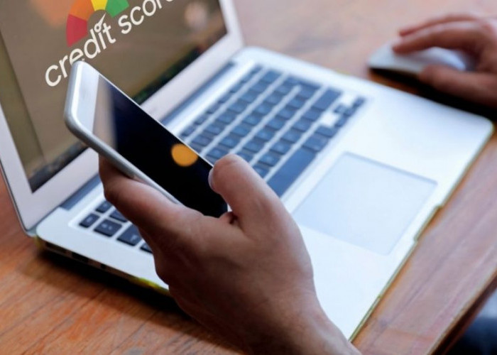 Tertolak Ajukan Kredit karena BI Checking? Cek Langkah Pemutihannya dan Cara Pantau Skor Terupdate!