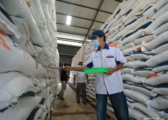 Punya Stok Melimpah, Kementrian Pertanian Siap Ekspor 2.000 Ton Beras ke Malaysia Sebelum Akhir Tahun!