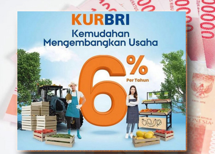 Ajukan Online KUR BRI 2025, Praktis, Cicilan Super Ringan Pinjaman Modal Usaha dari Rp1 Juta sampai Rp500 Juta