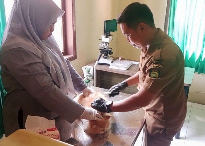 Sambut  Hari Jadi Indramayu dan Hari Rabies Sedunia, DKPP Gelar avaksinasi Gratis di Enam Lokasi 