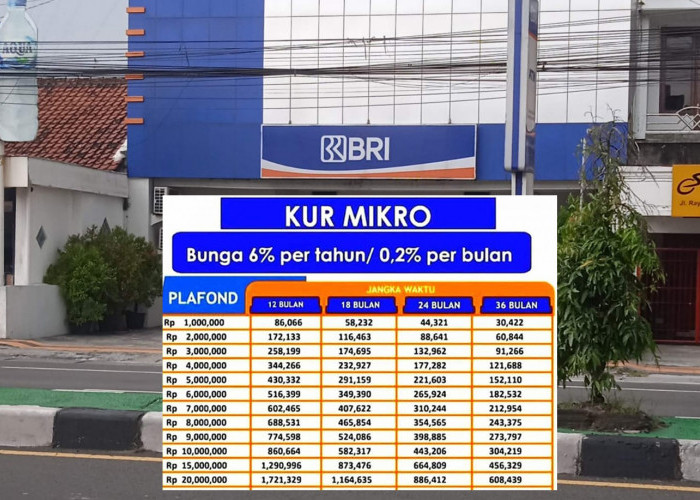 Kuota Terbatas! KUR BRI Rp10 Juta Cicilan Berapa? Pantas Saja Paling Diminati, Cek Detail Angsurannya Berikut 