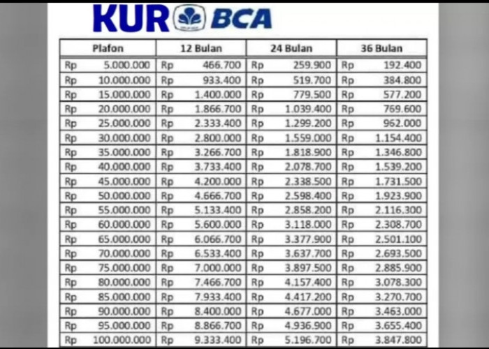 Butuh Suntikan Dana Tapi Gak Punya Aset? KUR BCA Tanpa Jaminan Bisa Cair Hingga Rp100 Juta! Ini Caranya