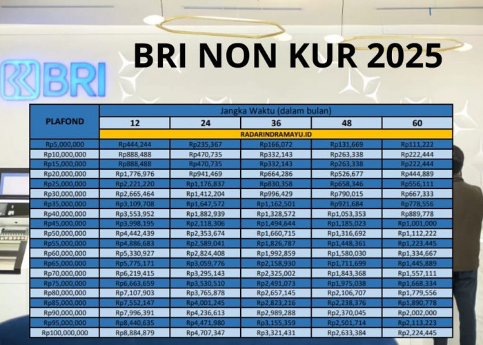 Pinjaman Non KUR BRI 2025 Terbaru! Ajukan Rp50 Juta Tenor 5 Tahun, Berapa Cicilan per Bulannya?