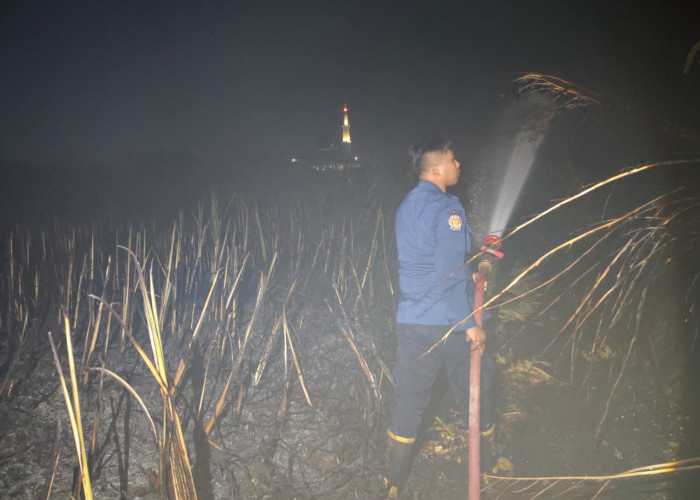 Damkar Indramayu Berhasil Padamkan Kebakaran Lahan Ilalang Dekat Klinik Sentra Medika