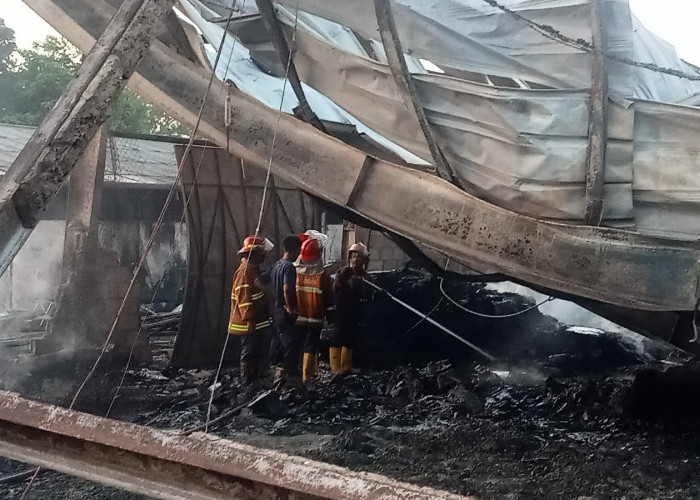 Kebakaran Terjadi di Pabrik Rotan Desa Karangasem, Bahan Baku Rotan Siap Ekspor Ludes Terbakar