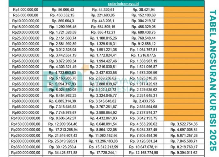Solusi Pinjaman Syariah Tanpa Bunga, Berikut Pinjaman Non KUR BSI 100 juta dengan Cicilan 71 Ribu per Bulan