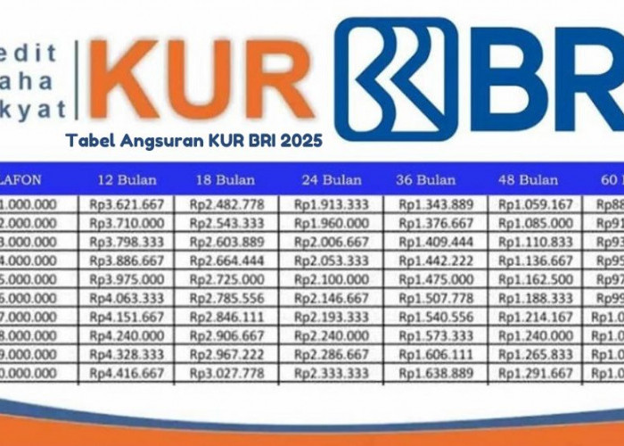 Tabel Angsuran KUR BRI 2025 Pinjaman Rp50 Juta Modal Usaha UMKM, Cicil Mulai 1 Jutaan, Simak Detail Tenornya 