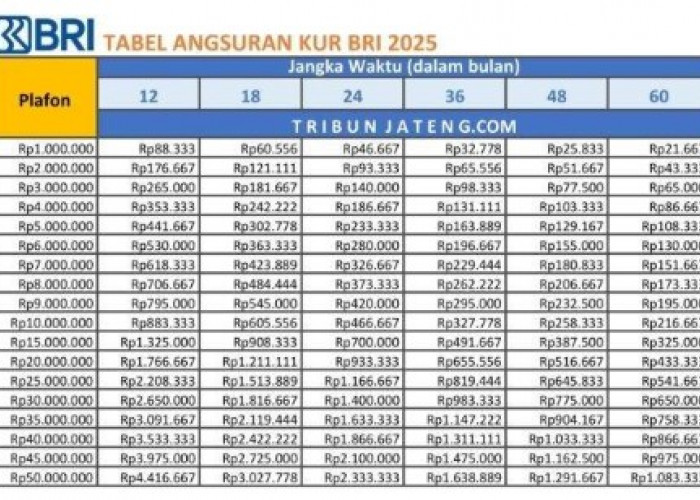 Daftar Lengkap Tabel Biaya Angsuran KUR BRI 2025 Bulan Februari dan Maret, Cicilan Paling Rendahnya Segini!