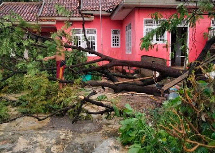 Diterjang Angin Kencang, 11 Rumah di Kecamatan Gantar Rusak