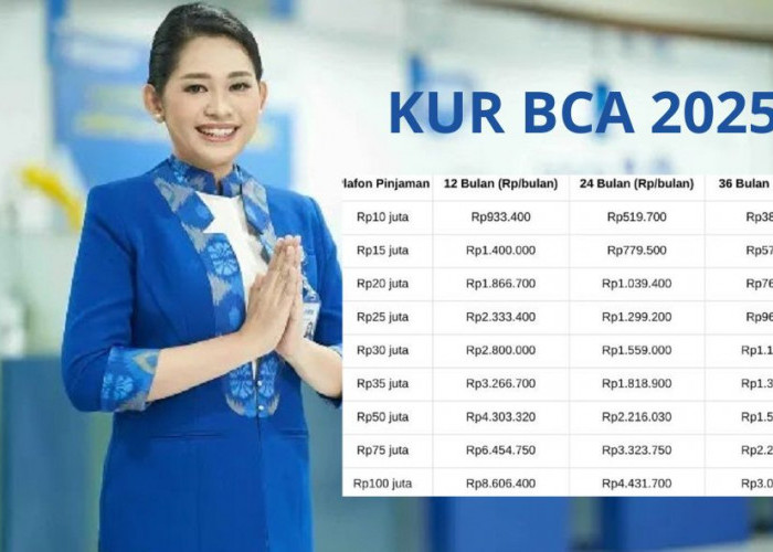 UMKM Wajib Tahu! KUR BCA Tawarkan Pinjaman Tanpa Jaminan hingga Rp100 Juta, Ini Rincian Simulasi Cicilannya!