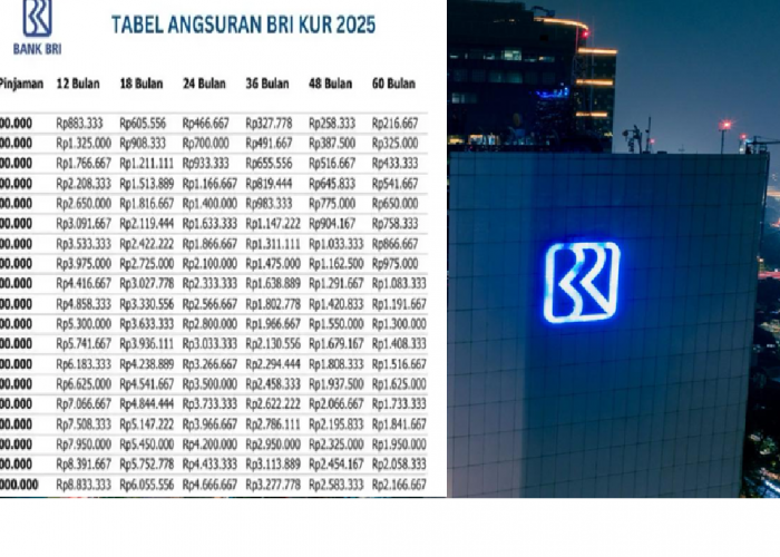 Update Terbaru! KUR BRI 2025 Tabel Angsuran Rp500 Juta, Intip Syarat dan Tenor Lengkapnya